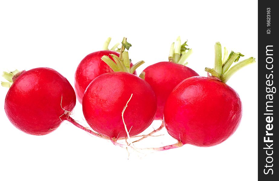 Fresh Radishes, completely isolated on white