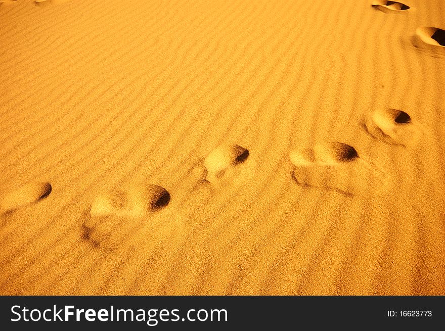 Footprint in Badanjilin Desert, China