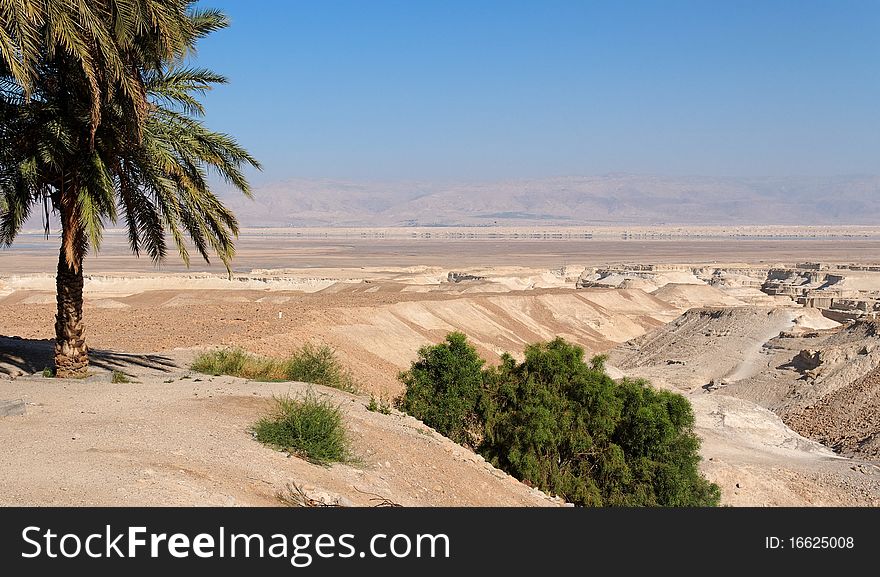 Desert landscape with oasis