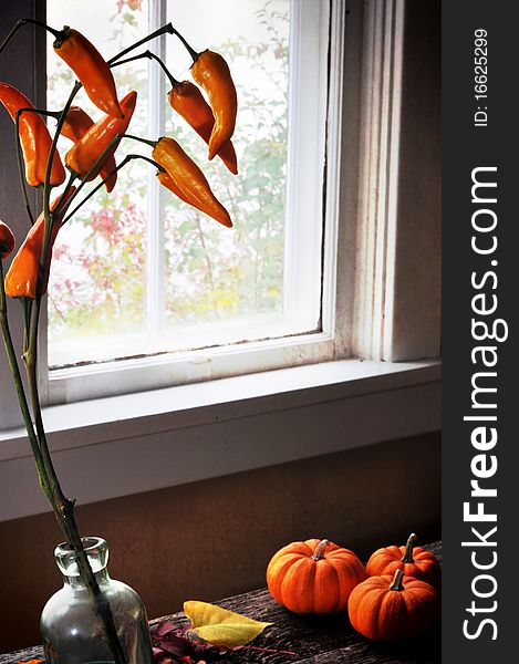 Autumn vignette of vase of orange peppers with a background window view and mini pumpkins. Autumn vignette of vase of orange peppers with a background window view and mini pumpkins