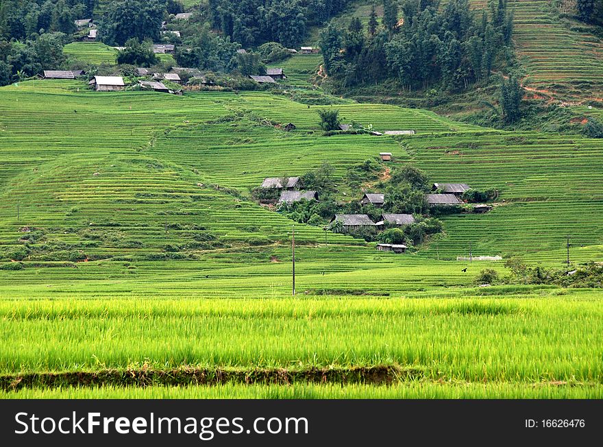 Landscape with rice fields and small villages in mountains of Sapa area in Vietnam. Landscape with rice fields and small villages in mountains of Sapa area in Vietnam