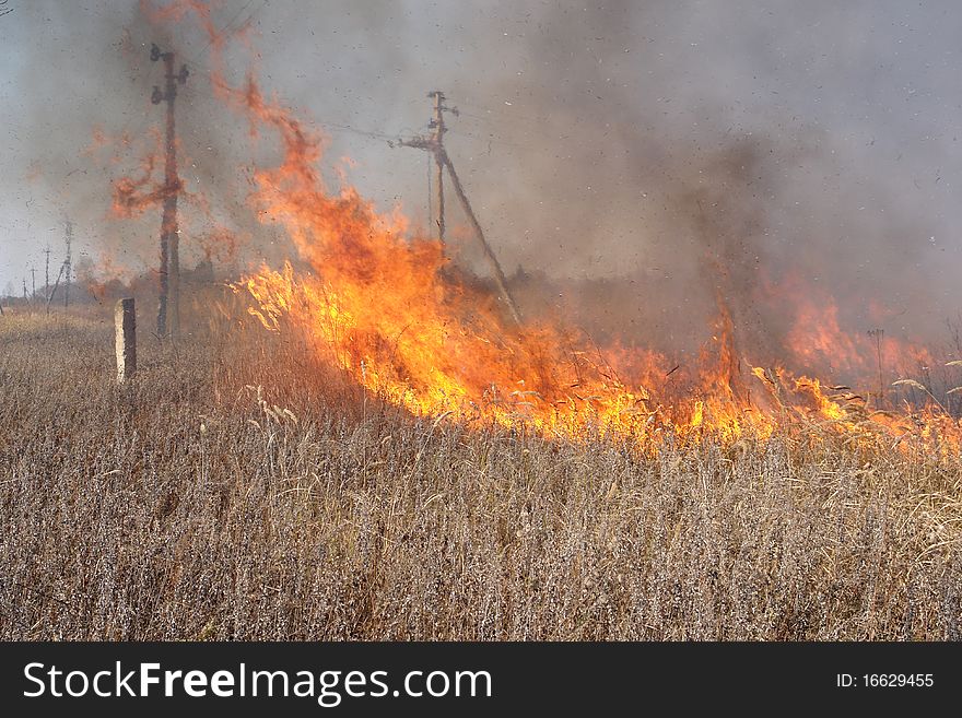 Grass Fire