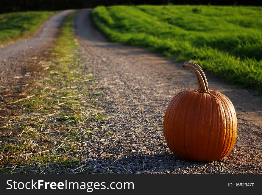 A Lone Pumpkin on a Dirt Road. A Lone Pumpkin on a Dirt Road