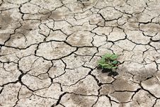 Barren Land At Summer Stock Photo Barren Land At Summer Stock Photo