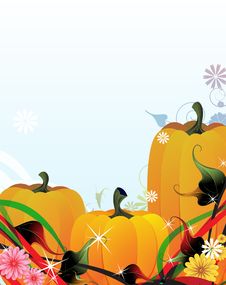 Fabulous Pumpkins Royalty Free Stock Image Fabulous Pumpkins Royalty Free Stock Image