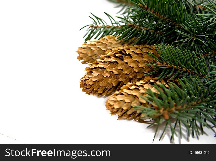 Pine cones and needles isolated. Pine cones and needles isolated