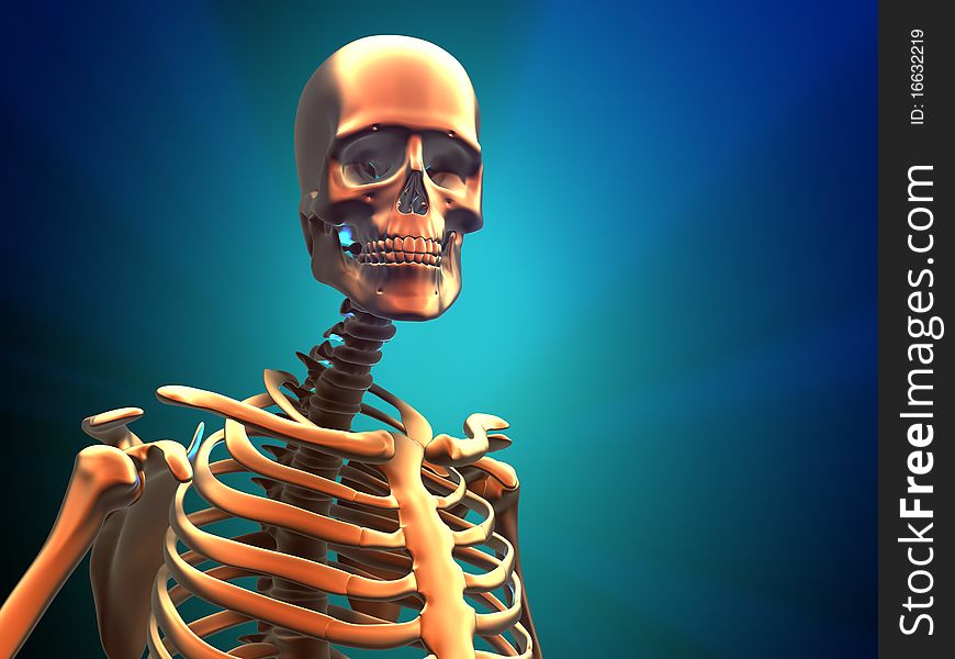 Human skeleton - this is a 3d render illustration