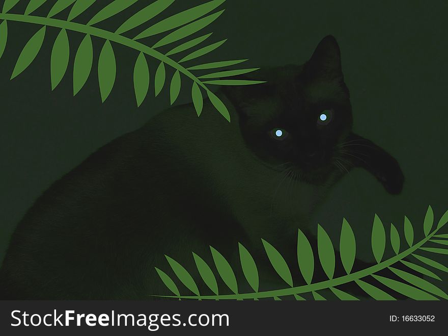 Eerie image of cat on dark background illustration. Eerie image of cat on dark background illustration