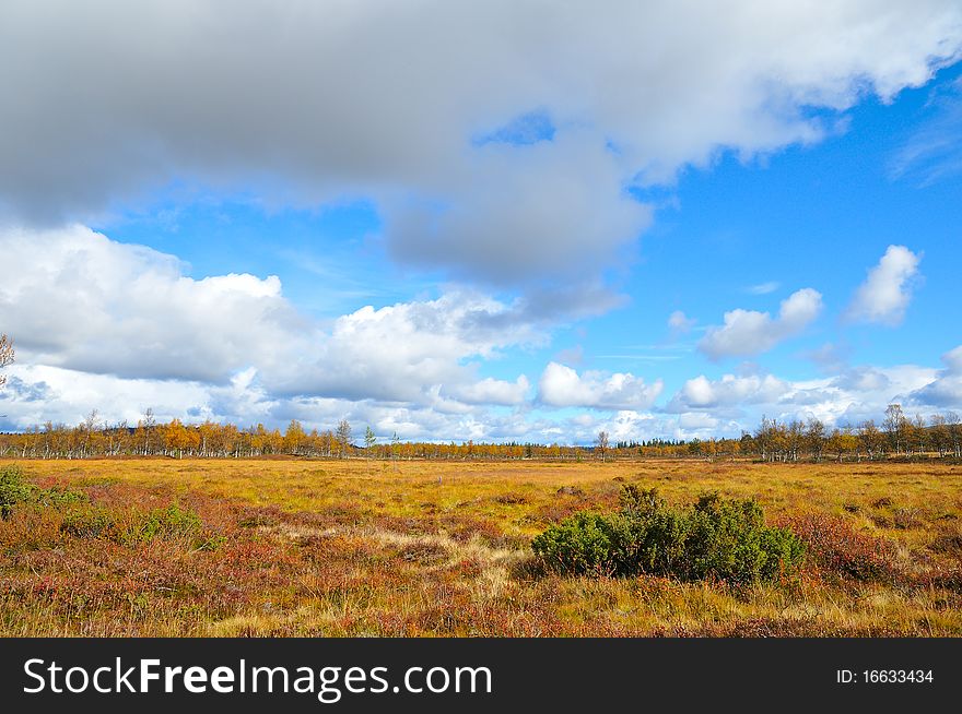 Plateau in Sweden, in the fall.