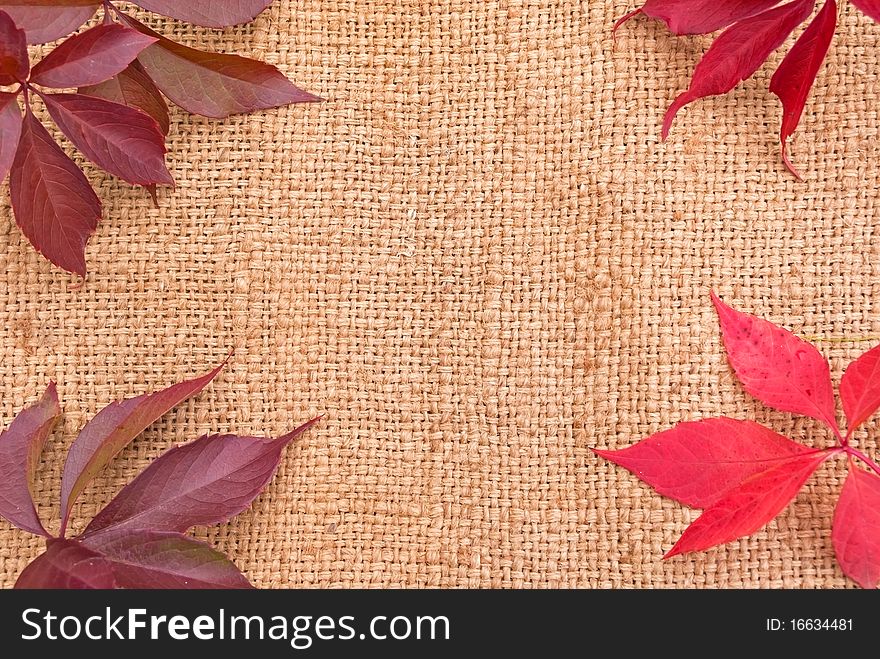 Linen background with leaves