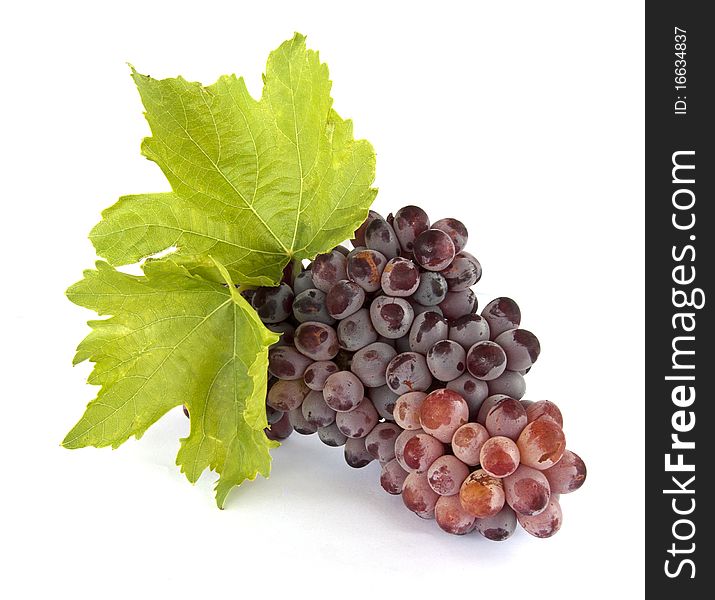 Bunch of grapes on white background. Bunch of grapes on white background