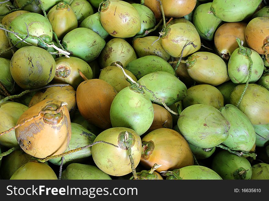 Image of fresh organic green coconuts. Image of fresh organic green coconuts