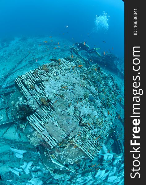 The Cargo of the Yolanda shipwreck scattered over the ocean floor. Red sea, Egypt. The Cargo of the Yolanda shipwreck scattered over the ocean floor. Red sea, Egypt.