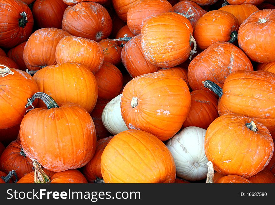 A disordered pile of orange and white pumpkins. A disordered pile of orange and white pumpkins.