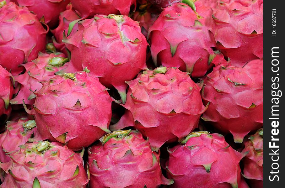 A lot of Pitahaya (Dragonfruit)