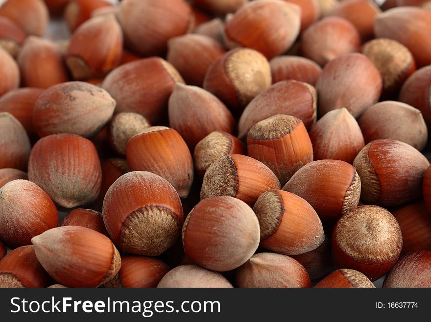 A lot of forest nuts as the background. A lot of forest nuts as the background