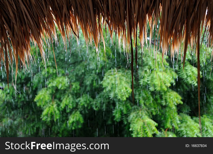 Drops of water falling down to straw roof