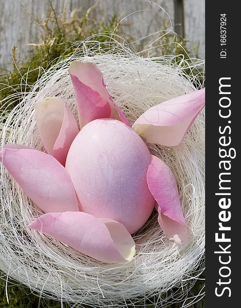 Easter egg in pastel with pink petals in country style