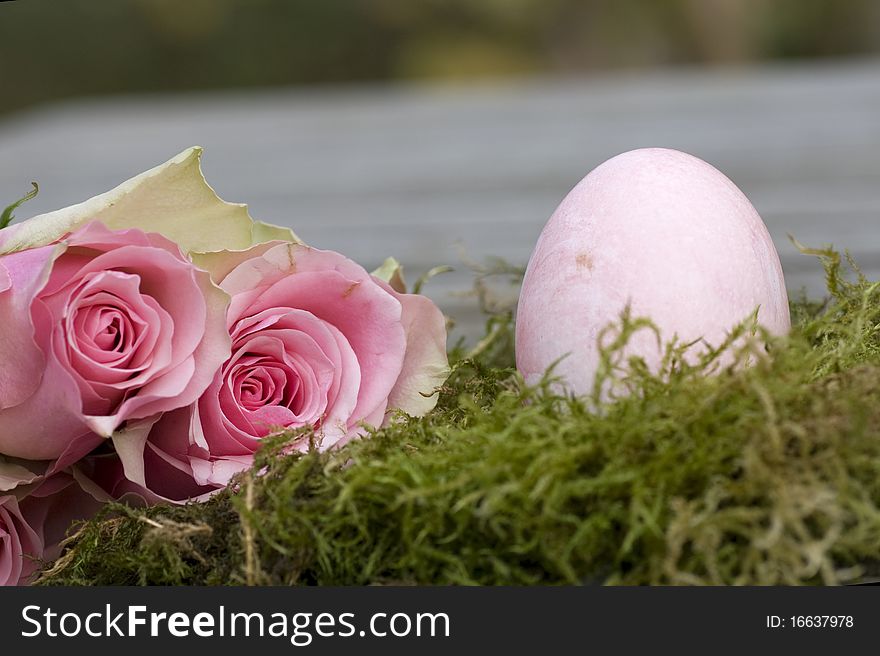 Easter egg with two roses and moss close-up