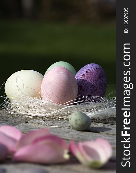 Easter eggs in pastel and pink petals in country style