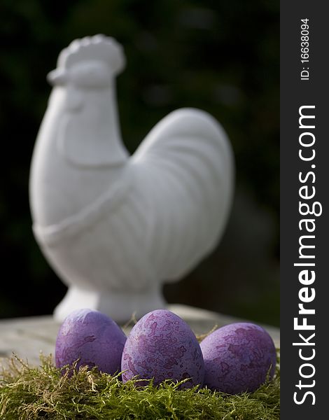 Easter eggs in purple and a white chicken outdoor