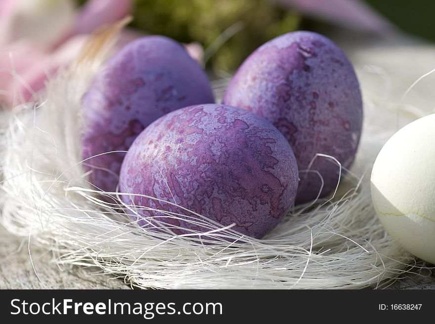 Three Easter Eggs In Purple Close-up