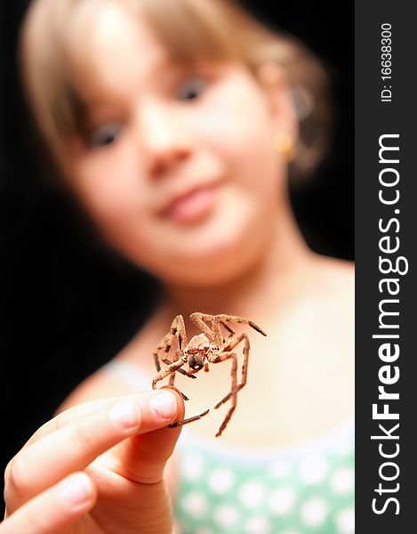 A pretty young girl holding a brown spider by the one leg and looking surprised with big eyes. A pretty young girl holding a brown spider by the one leg and looking surprised with big eyes