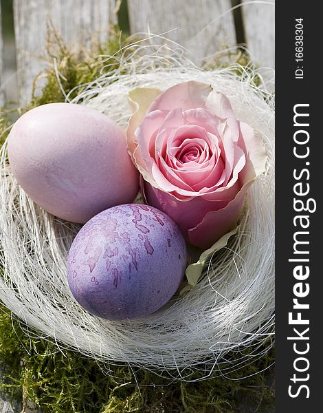 Two Easter Eggs In Pastel With Pink Rose