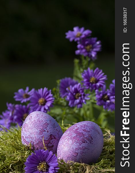 Two purple easter eggs in the nest still life
