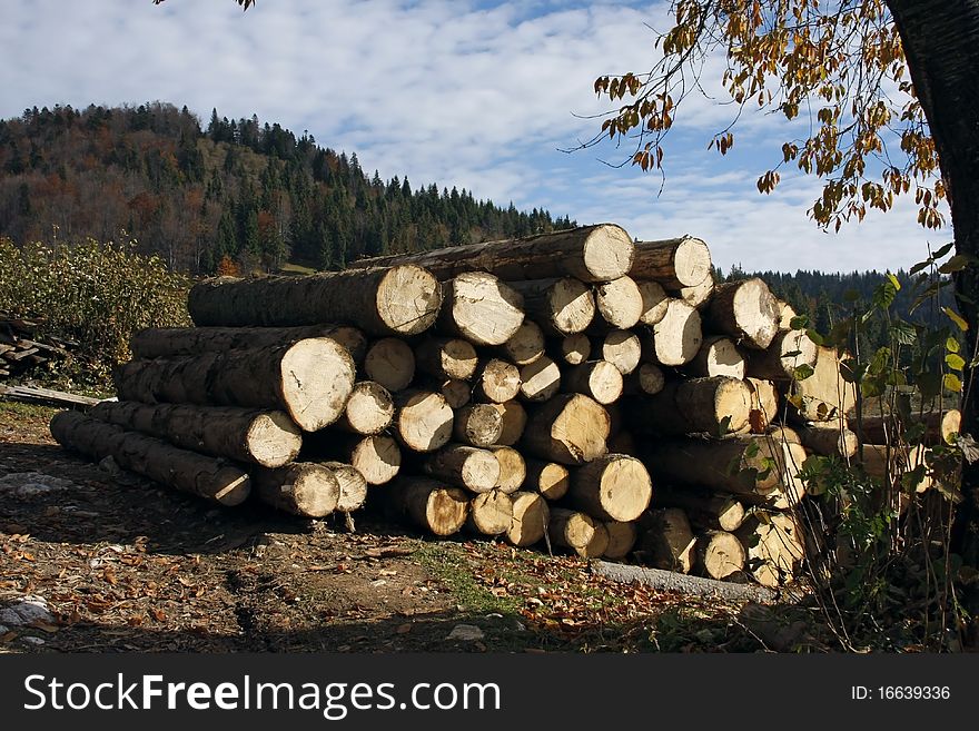 This image represents a beautiful autumn landscape with logs
