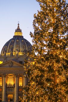 Christmas Tree In St Peter`s Square In The Vatican City Royalty Free Stock Photography