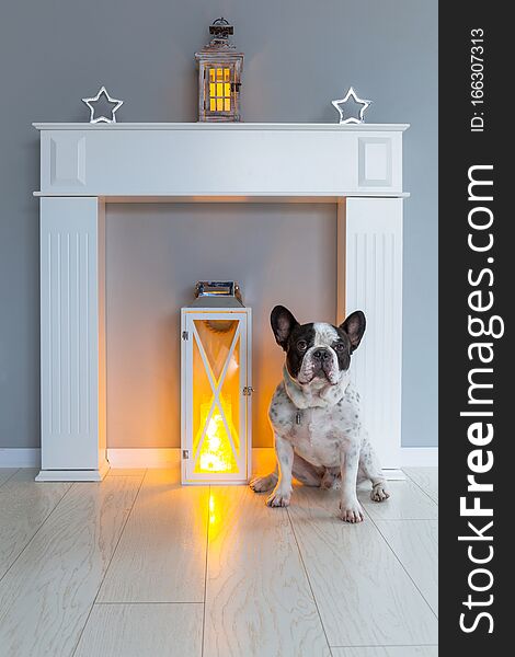 French bulldog lying on the floor at the fireplace