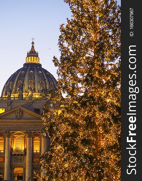 Christmas Tree in St Peter`s Square in the Vatican City, Rome, Italy. St. Peter`s Square was designed by Gian Lorenzo Bernini  including the massive Doric colonnades,four columns deep, which embrace visitors in `the maternal arms of Mother Church`. The square was projected from 1656 to 1667, under the direction of Pope Alexander VII. The colonnades frame the trapezoidal entrance to the basilica and the massive elliptical area which precedes it.
