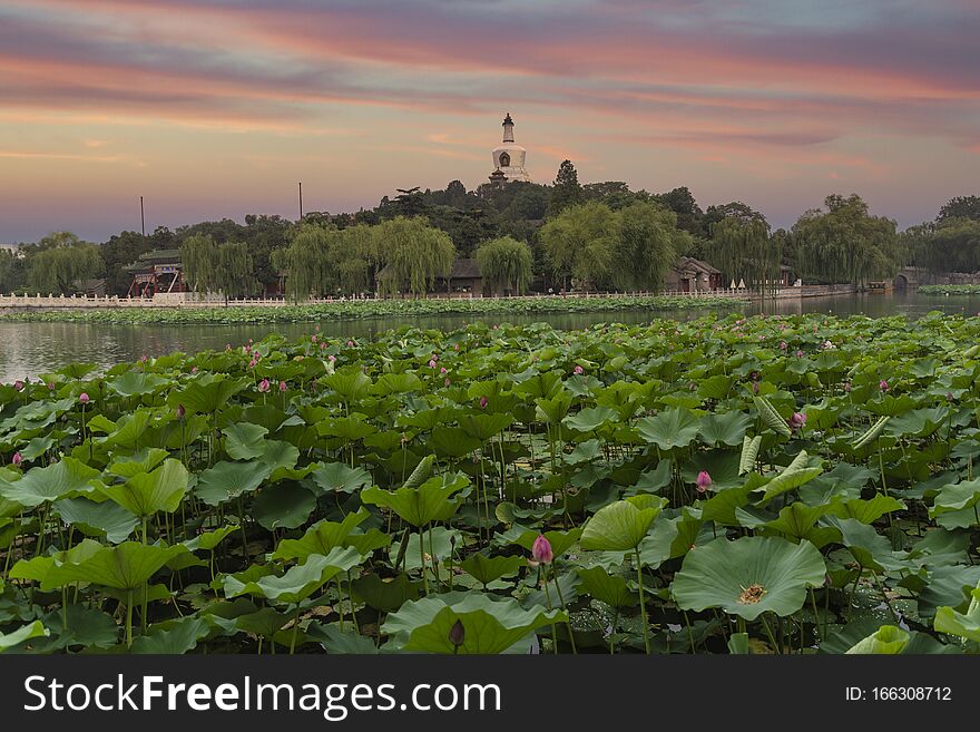 Beihai Park is an imperial garden to the north-west of the Forbidden City in Beijing