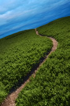 Narrow Path Stock Photos Narrow Path Stock Photos
