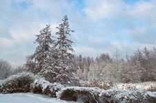 Snow-covered Landscape Royalty Free Stock Photo Snow-covered Landscape Royalty Free Stock Photo