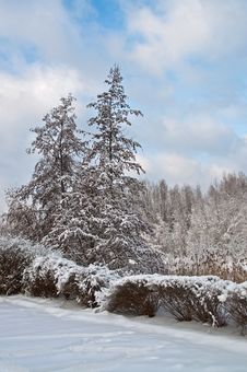 Snow-covered Landscape Royalty Free Stock Image Snow-covered Landscape Royalty Free Stock Image
