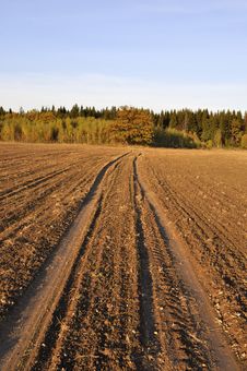 Earth Road Across The Field In The Evening Royalty Free Stock Photography