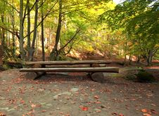 Wooden Bench And Table For Picnic In Autumn Forest Royalty Free Stock Photography