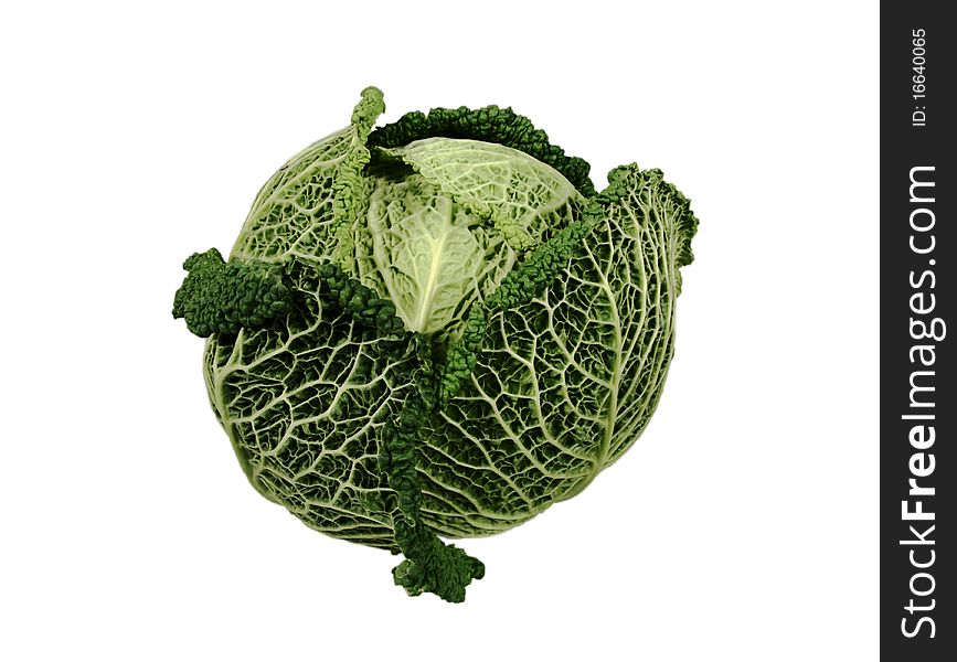 A lovely head of fresh savoy cabbage.