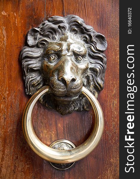 Metallic lion's head holding the ring for knocking to the heavens door. Metallic lion's head holding the ring for knocking to the heavens door