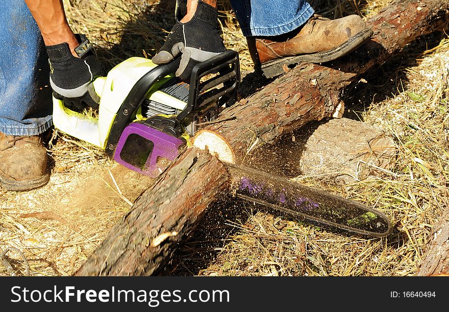 Image of male cutting wood with chainsaw