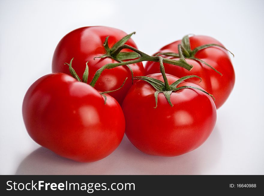 Four fresh red tomatoes  connected with stem on white background