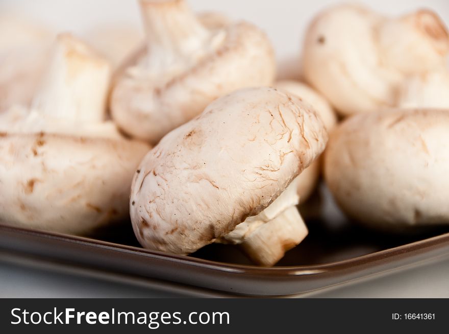 Close-up of a brown plate with white mushroom. Close-up of a brown plate with white mushroom