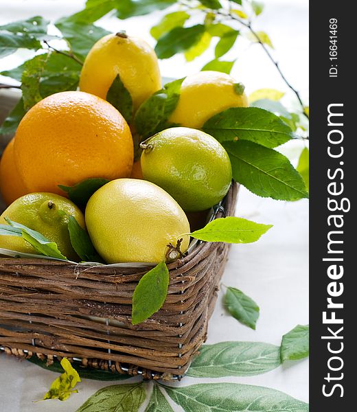 Fresh ripe lemons and orange in baket. Fresh ripe lemons and orange in baket