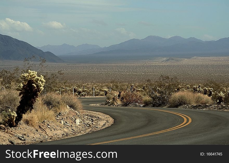 Valley Of Joshua Tree