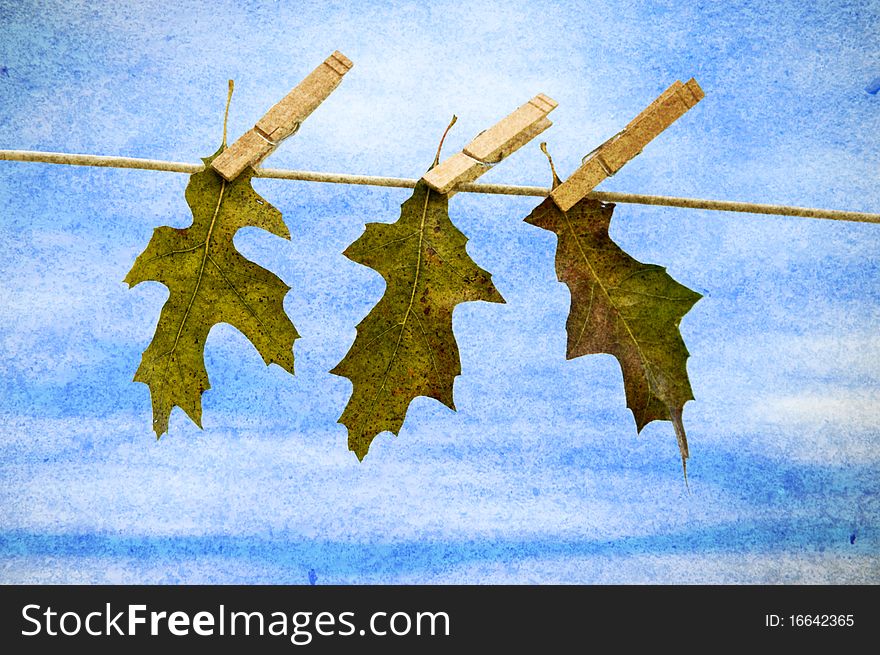 Leaf hanging on clothesline with clouds and blue sky with copy space