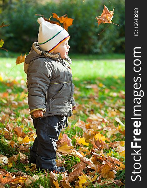 Kid in autumn wood