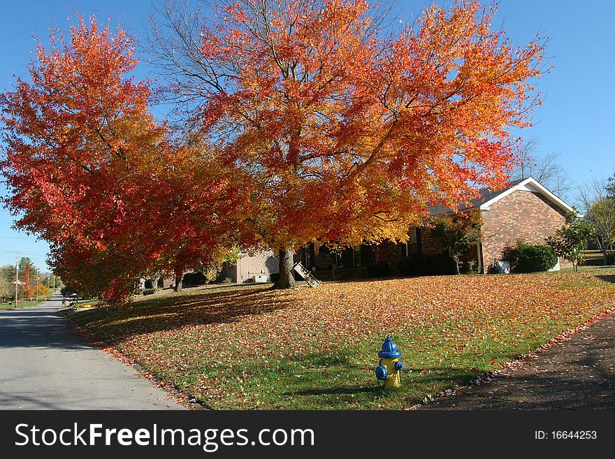 Nashville neighborhood in the fall m bright colorful foliage and warm days. Nashville neighborhood in the fall m bright colorful foliage and warm days
