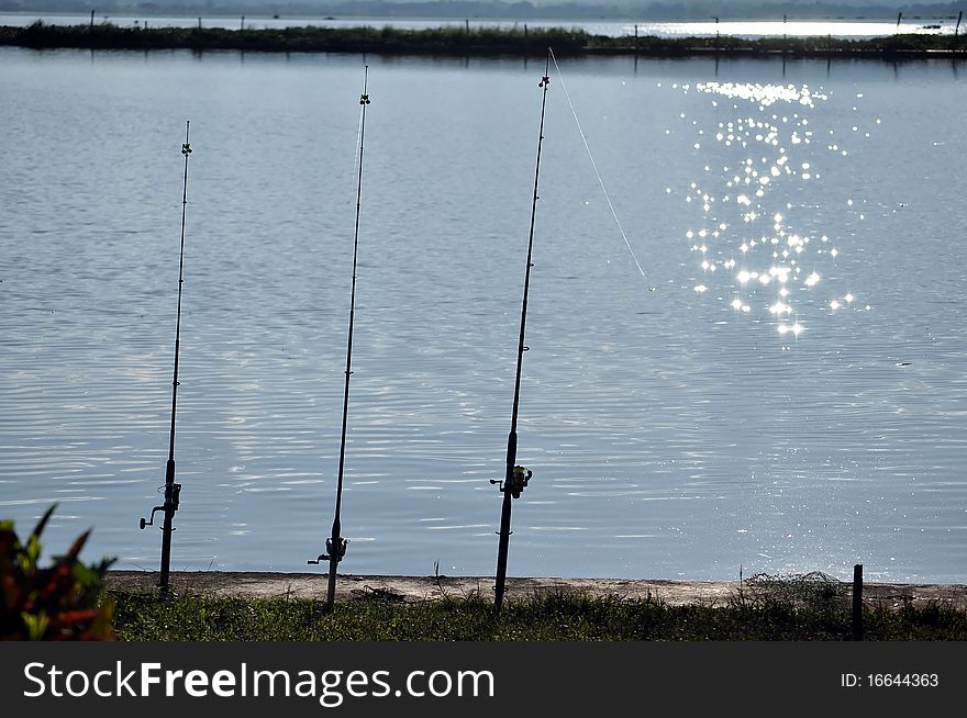 Fishing is an activity in holiday